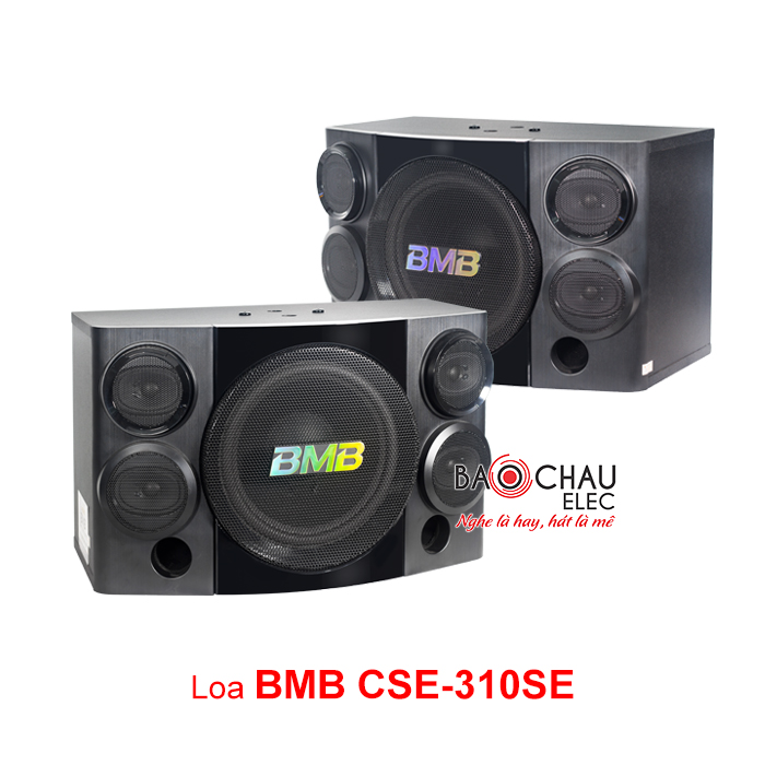 BMB CSE 310 BMB CSE 310