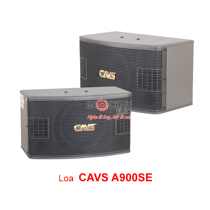 Loa Karaoke CAVS A900SE Loa Karaoke CAVS A900SE